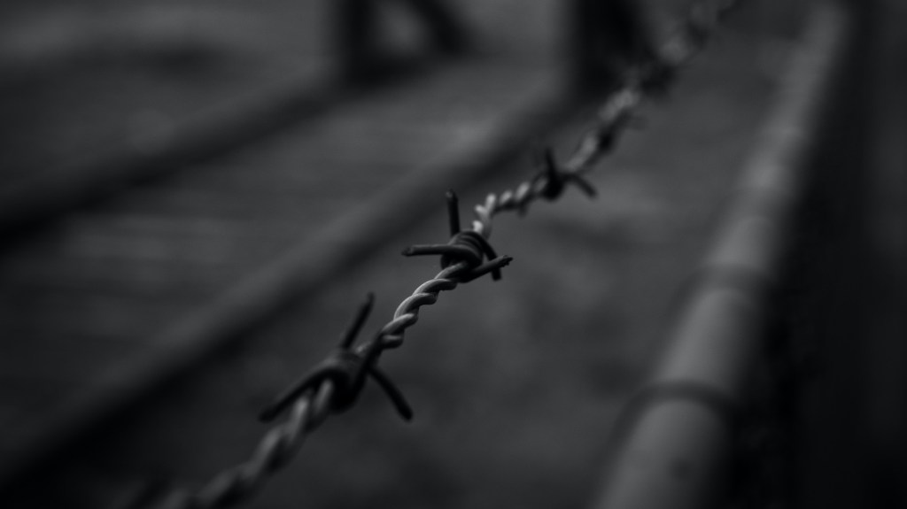 Libros: La Bailarina de&nbsp;Auschwitz